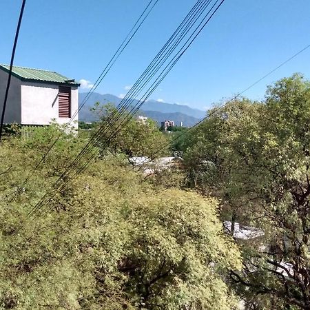 メンドーサAcogedor Departamento Frente Al Parque Civicoアパートメント エクステリア 写真